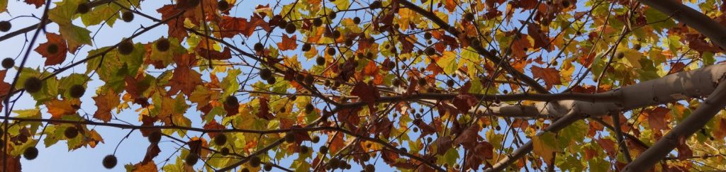 Aupair : el lado bueno y&nbsp;malo